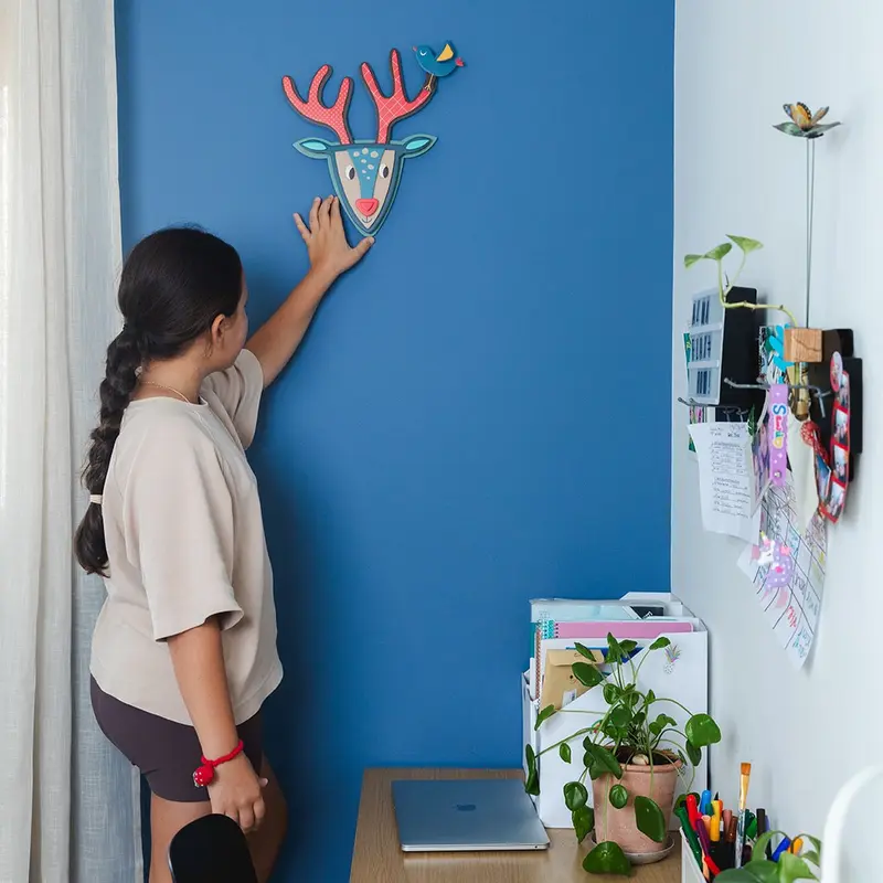 חיות קיר אייל - Kipod