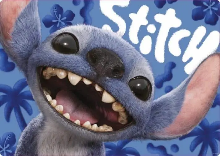 פאזל 1000 חלקים - סטיץ'; - educa