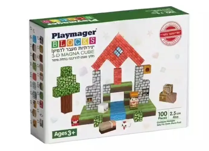 קוביות מודפסות 2.5*2.5 100 חלקים - Playmager