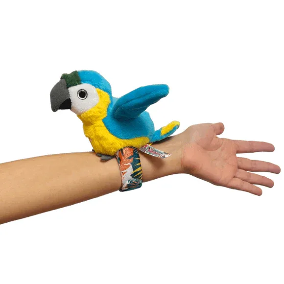 תוכי טוק - סטופר