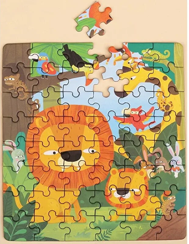 שני פאזלים מגנטים ברמות שונות במארז - גונגל - MierEdu