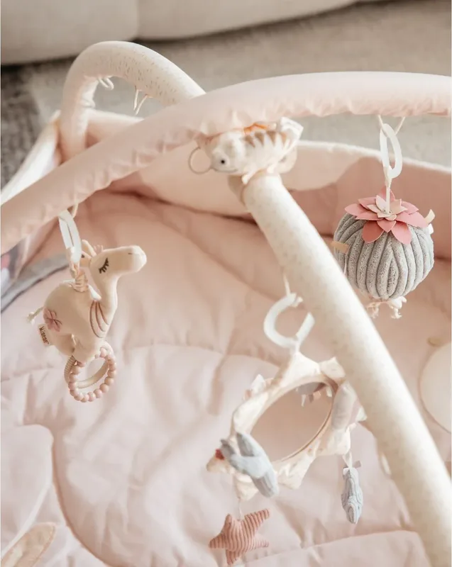 אוניברסיטה לתינוק ורוד - Minene