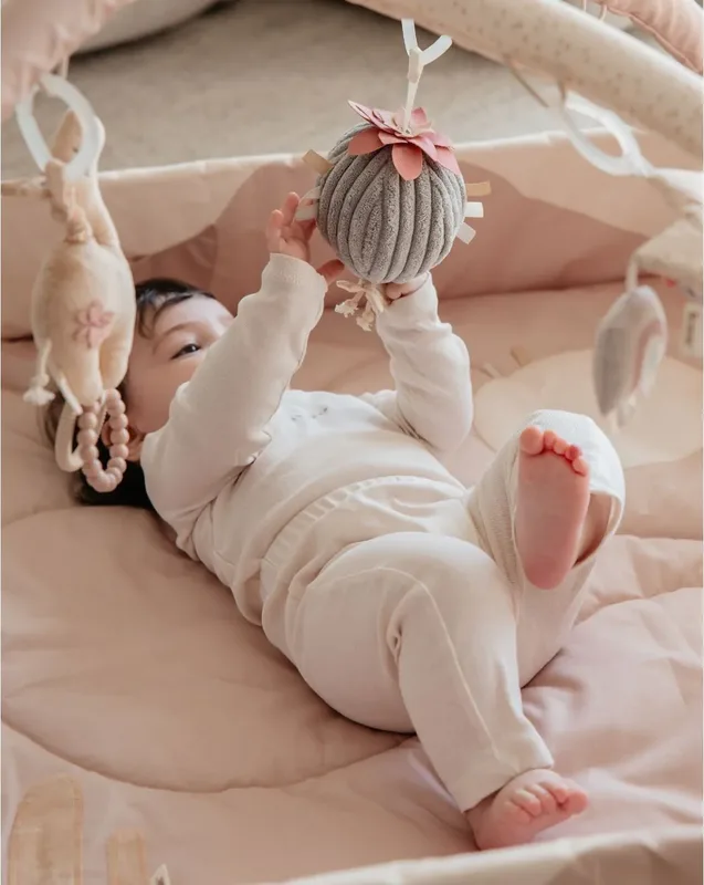 אוניברסיטה לתינוק ורוד - Minene