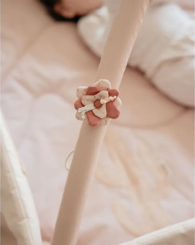 אוניברסיטה לתינוק ורוד - Minene