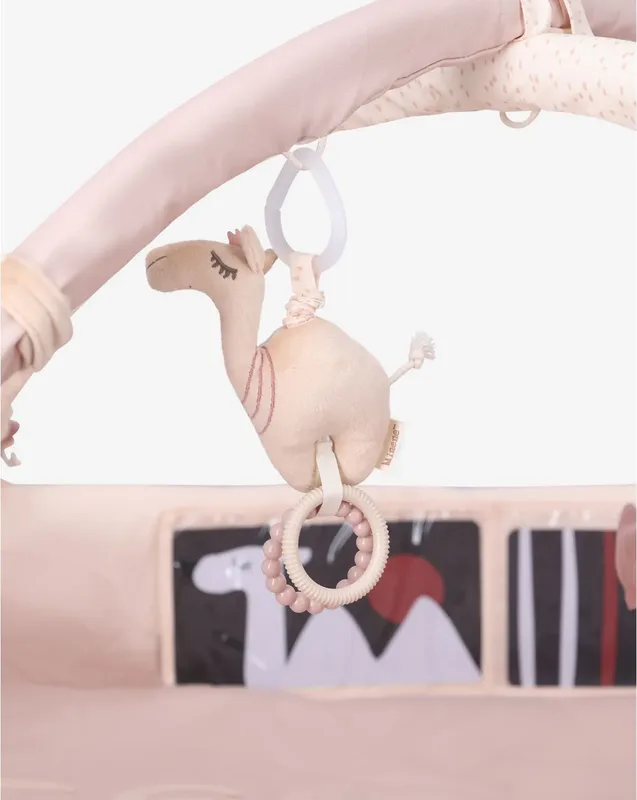 אוניברסיטה לתינוק ורוד - Minene