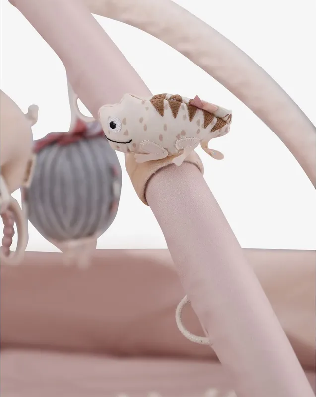 אוניברסיטה לתינוק ורוד - Minene