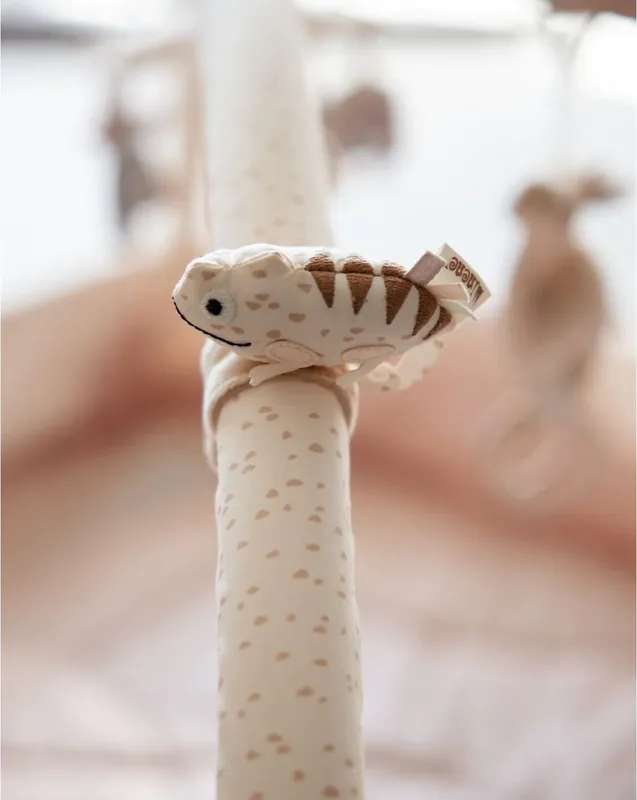 אוניברסיטה לתינוק ורוד - Minene