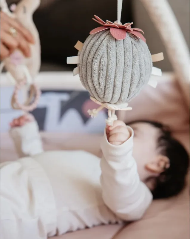 אוניברסיטה לתינוק ורוד - Minene