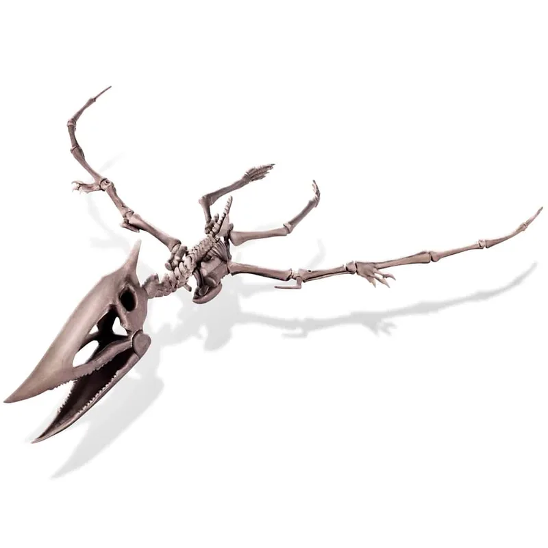 חפירת שלד פטרנודון - 4M