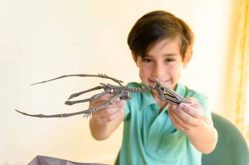 חפירת שלד פטרנודון - 4M