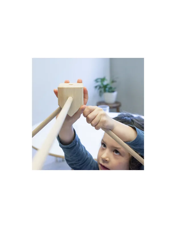 טריגונוס קרנל בלואה - Trigonos