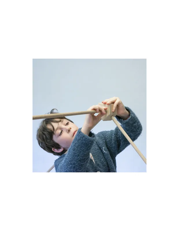 טריגונוס קרנל בלואה - Trigonos