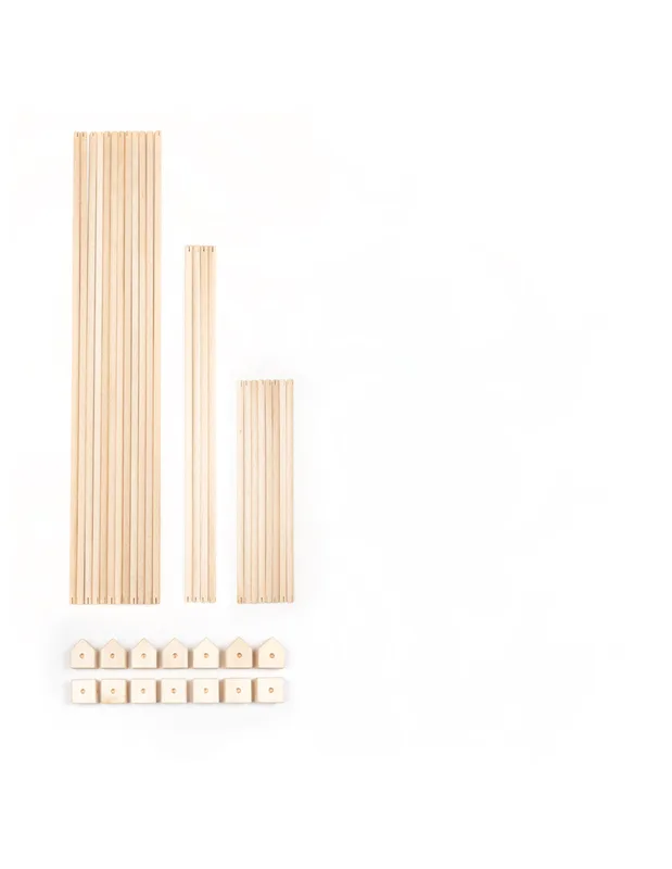 טריגונוס קרנל בלואה - Trigonos