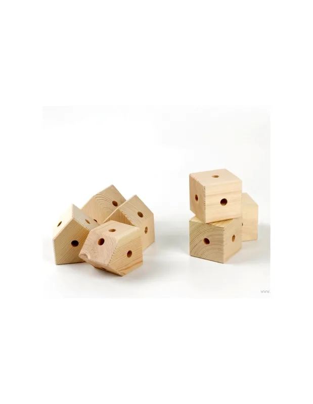 טריגונוס קרנל בלואה - Trigonos