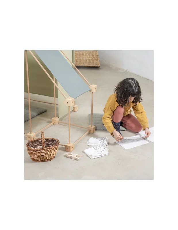 טריגונוס ארברו מקסי - Trigonos