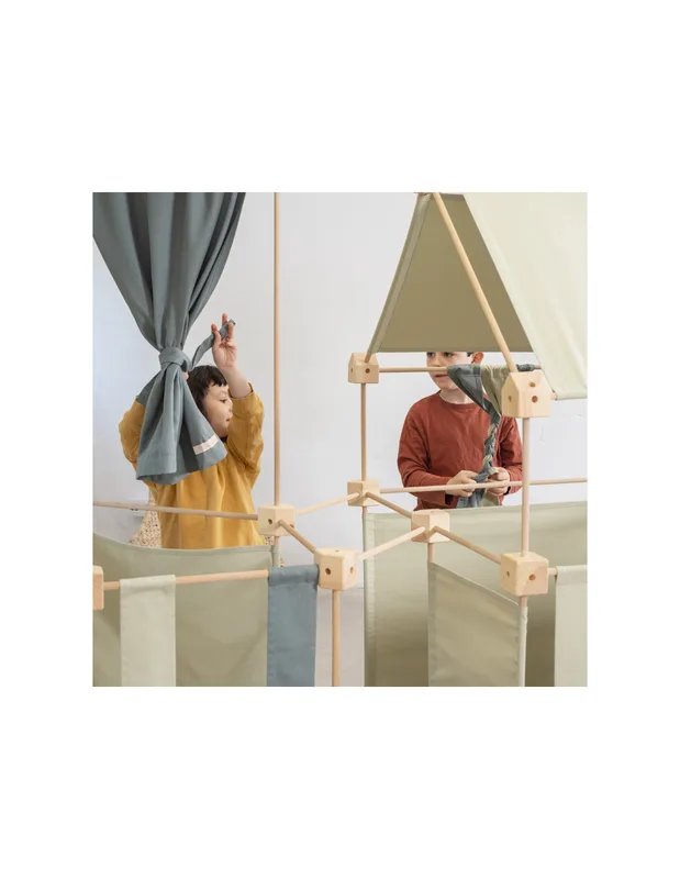 טריגונוס ארברו מקסי - Trigonos