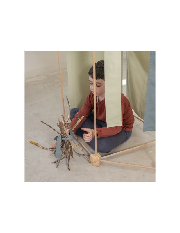 טריגונוס ארברו מקסי - Trigonos