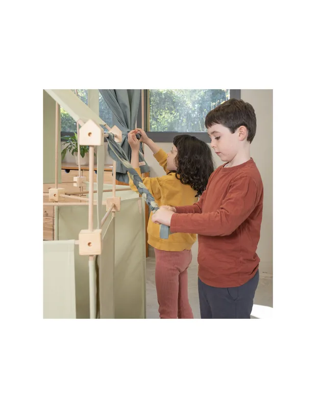 טריגונוס ארברו מקסי - Trigonos