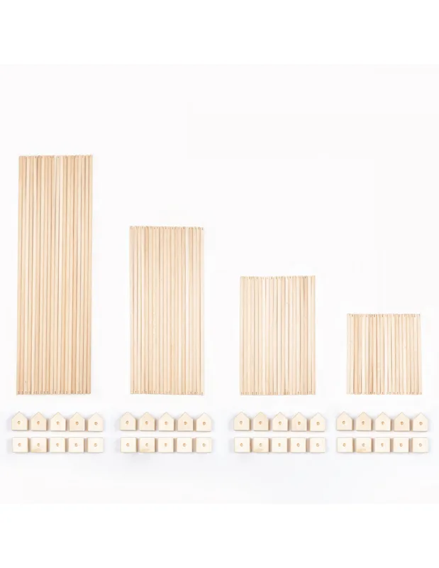 טריגונוס ארברו מקסי - Trigonos