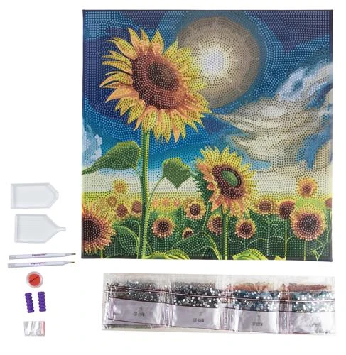 אומנות קריסטל - קנבס 30×30 - כדורים פורחים - Craft Buddy