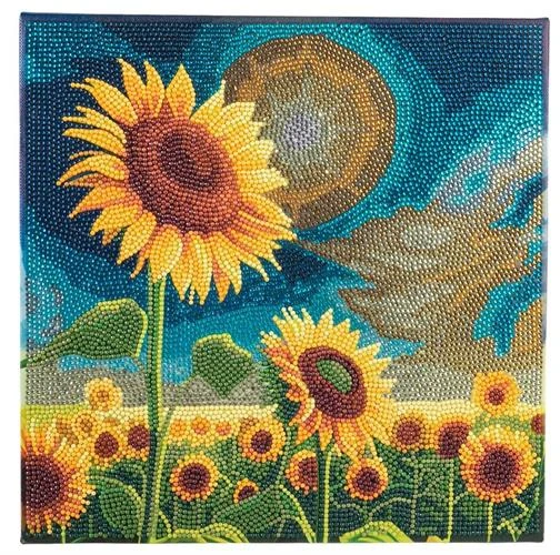אומנות קריסטל - קנבס 30×30 - כדורים פורחים - Craft Buddy