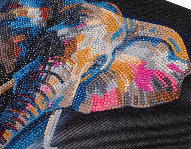 אומנות קריסטל - קנבס 30×30 - פיל מלכותי - Craft Buddy