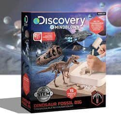 ערכת חפירת דינוזאור מאובן - Discovery