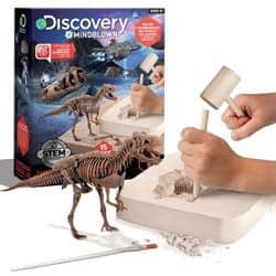 ערכת חפירת דינוזאור מאובן - Discovery