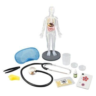 ערכת מדע לילדים גוף אנושי 2