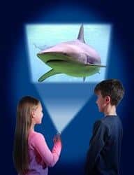 פנס ומקרן כרישים 3