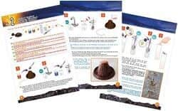 ערכת מדע הר געש ודינוזאורים 4